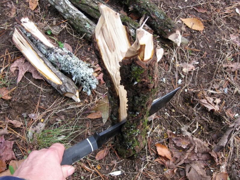 SOG Creed splitting tree trunk (Photo:"mistwalker" - bladeforums)